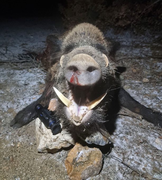 de Excopesa PARD Caza