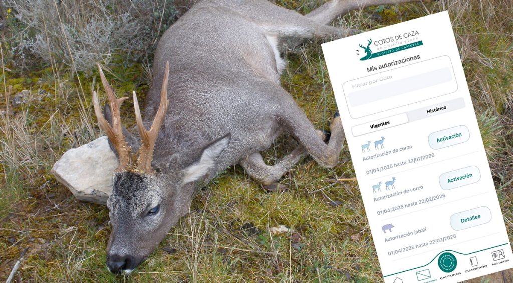 de Castilla y León Caza