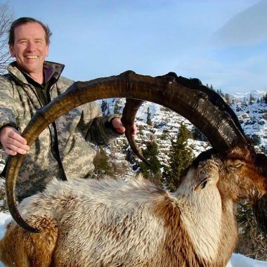 Fernando Saiz Cinegética