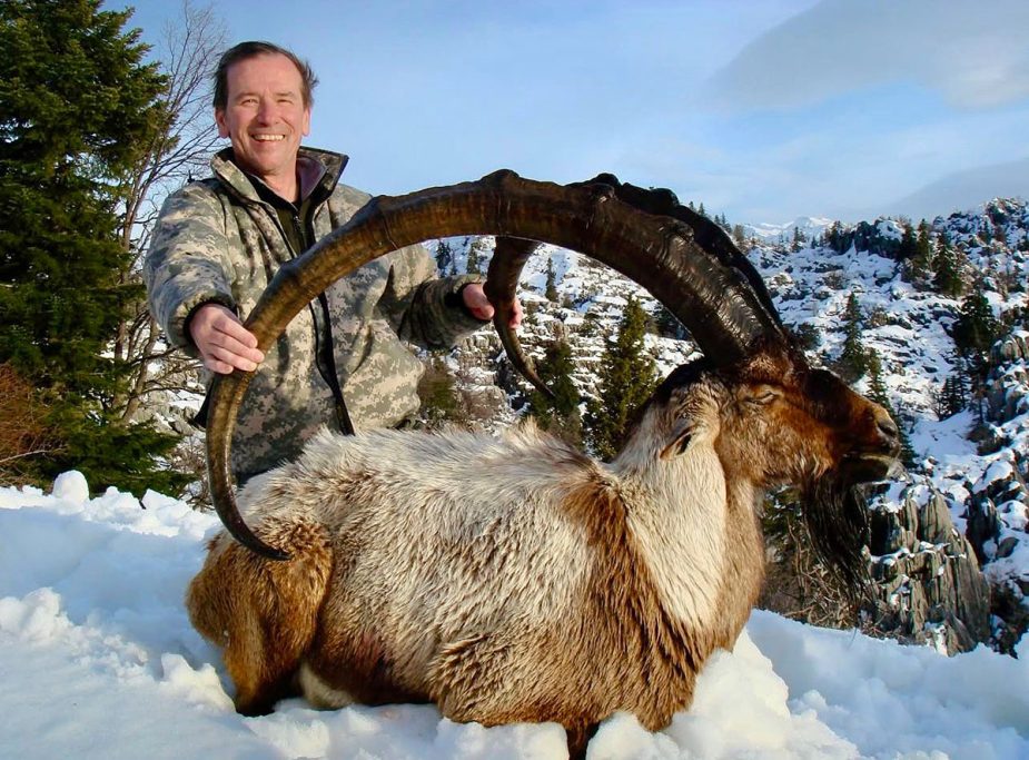 Fernando Saiz Cinegética