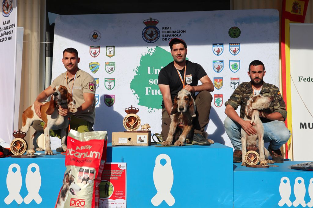 Jabalí Salvaje Caza