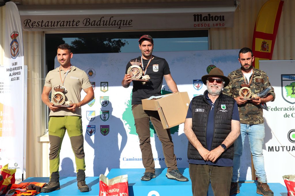 Jabalí Salvaje Caza