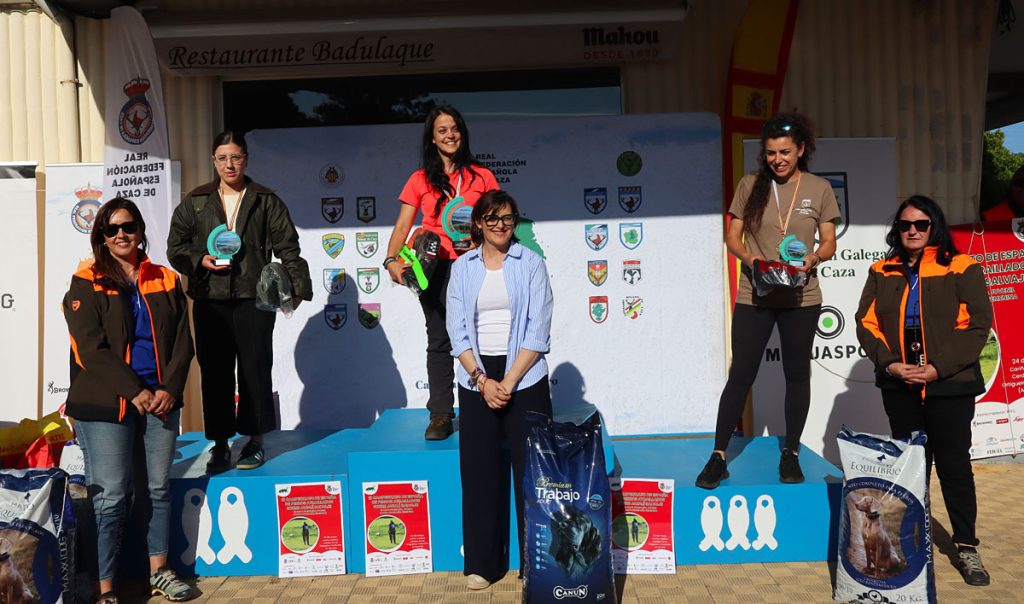 Jabalí Salvaje Caza