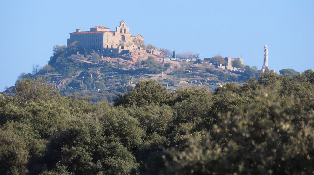 de la caza mayor montería