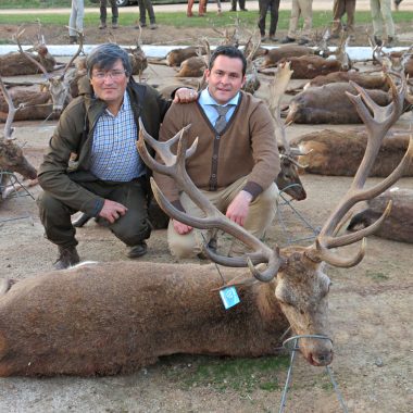 de la caza mayor montería