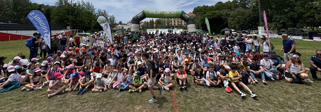 del Proyecto PROADES