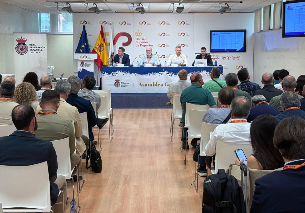 Asamblea RFEC Española de