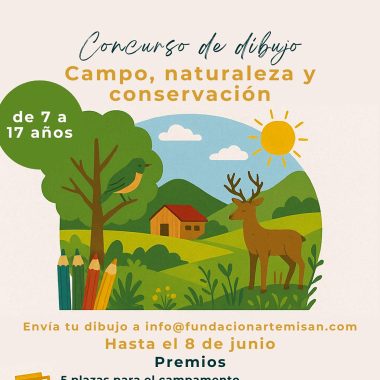 Fundación Artemisan con campamentos