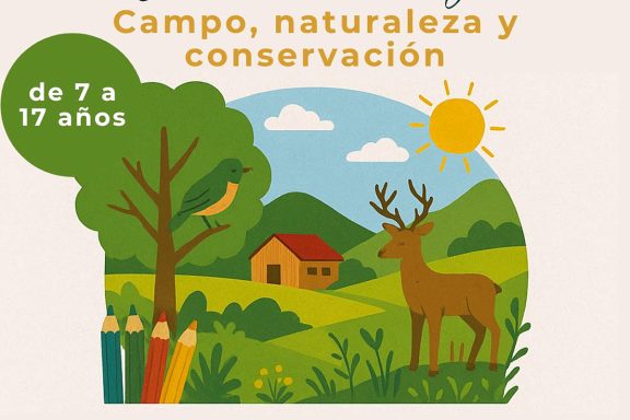 Fundación Artemisan con campamentos