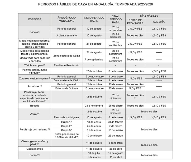 hábiles de caza período