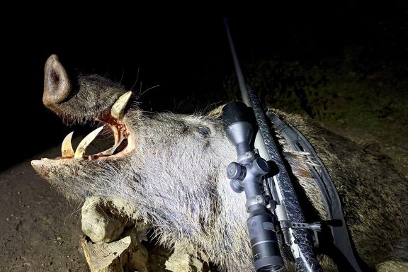 PARD Pantera eX - Nobel Sport Excopesa