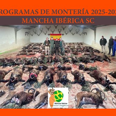 ibérica jabalíes