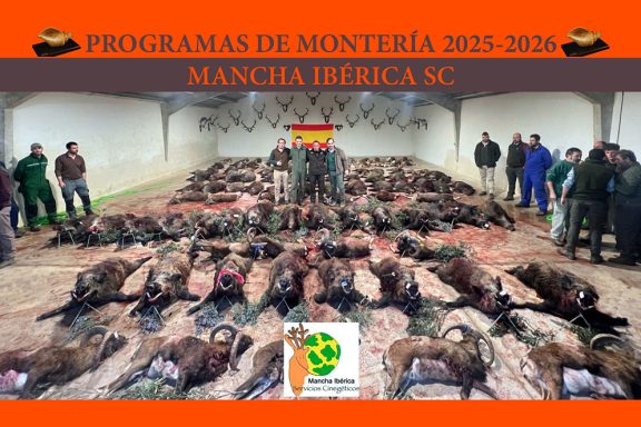 ibérica jabalíes