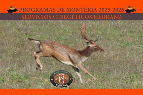 Herranz El Recuenco