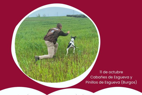 de Muestra y Caza