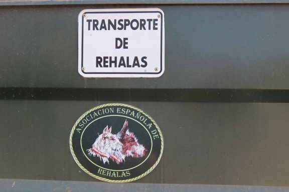 de rehalas en Caza