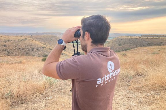 del Observatorio Caza