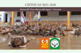 Gescaza en la Sierra del Viso