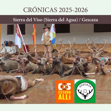 Gescaza en la Sierra del Viso
