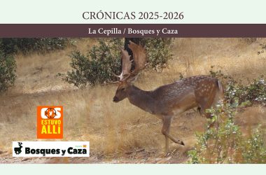 La Cepilla Caza