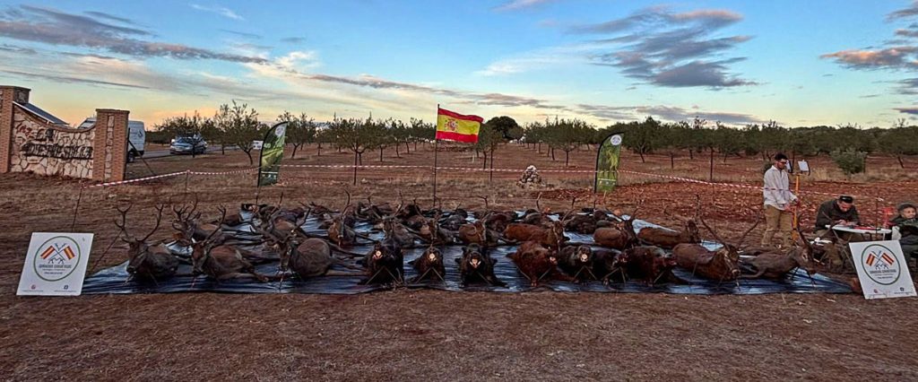 La Dehesilla de montería