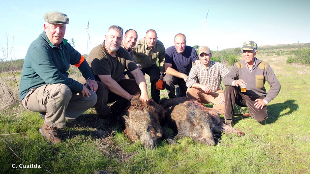 Las Gomas jabalíes