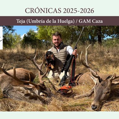 Teja Caza