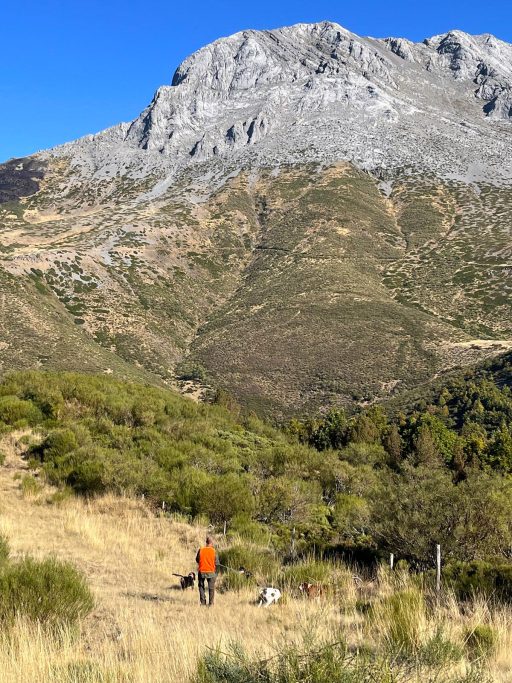 a los decanos cazadores