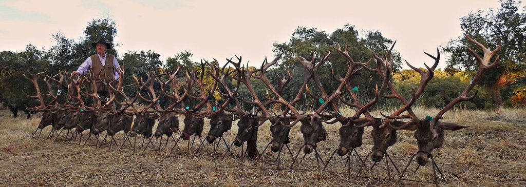 con Gescaza Los Lázaros