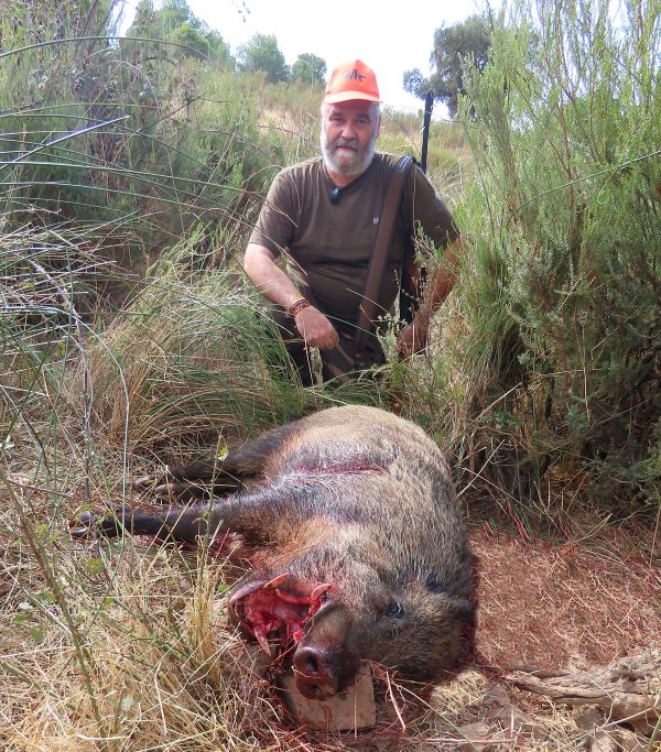 de la Ribera jabalíes
