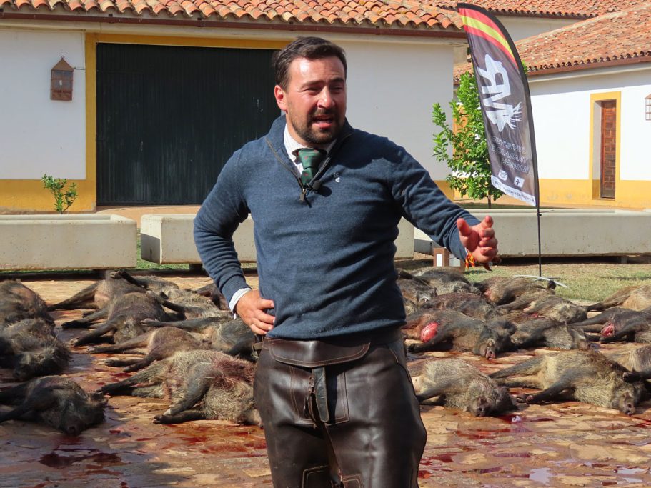 de la Ribera jabalíes