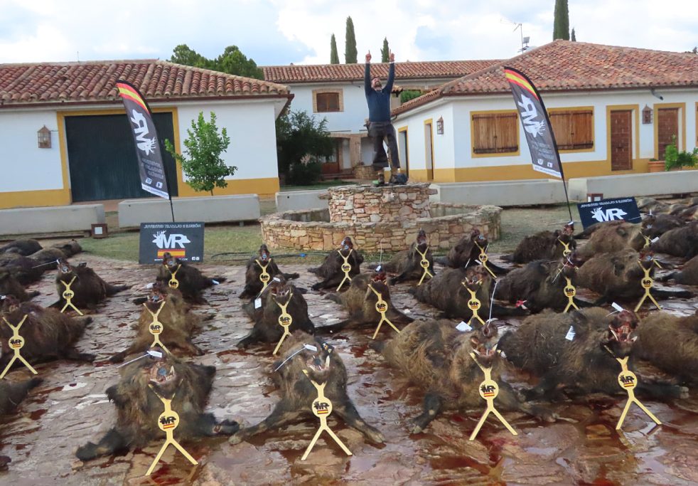 de la Ribera jabalíes