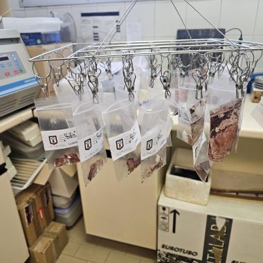 la gripe aviar cazadores