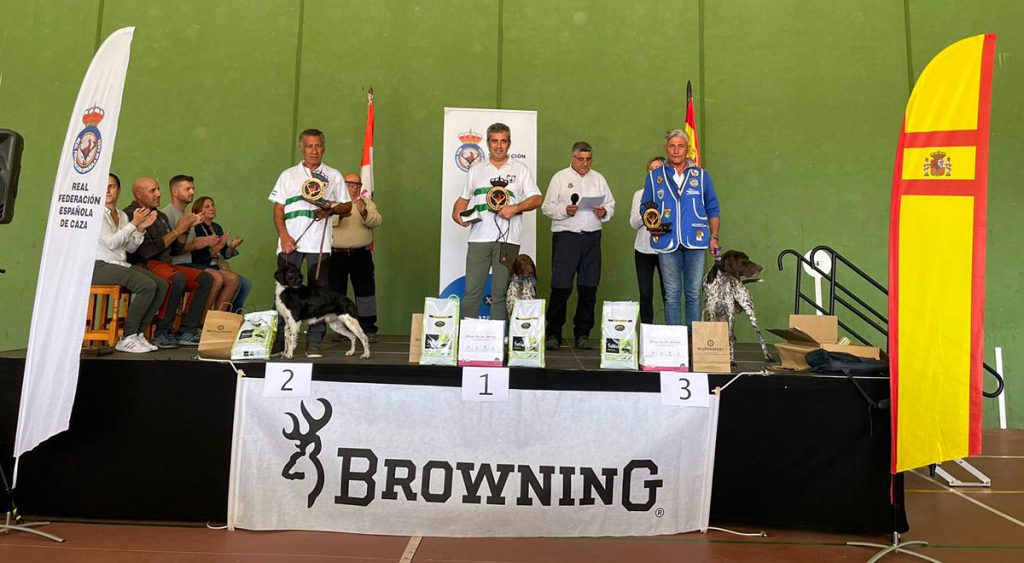 perros de muestra de