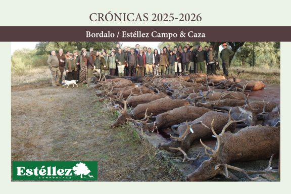 Bordalo montería