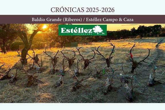 Campo y Caza