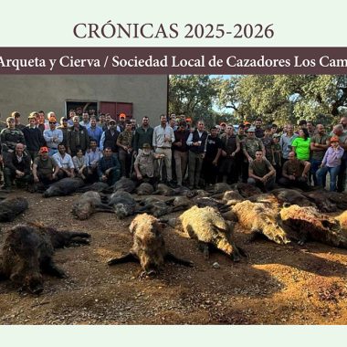 Cazadores Los jabalíes