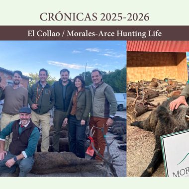 El Collao montería