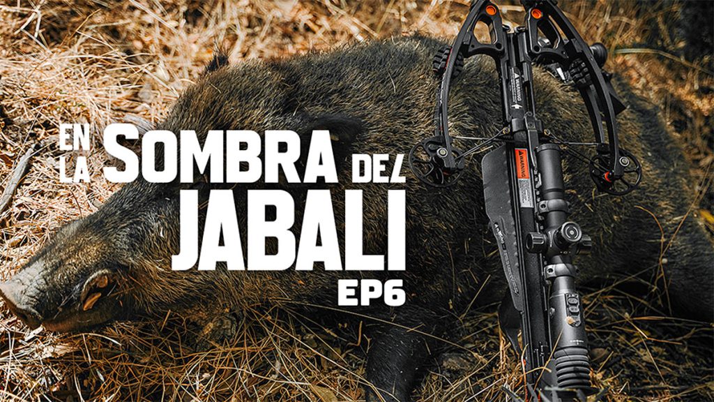 En la sombra Excopesa