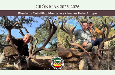 Monterías y Ganchos montería