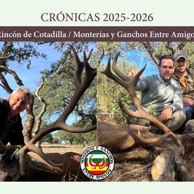 Monterías y Ganchos montería