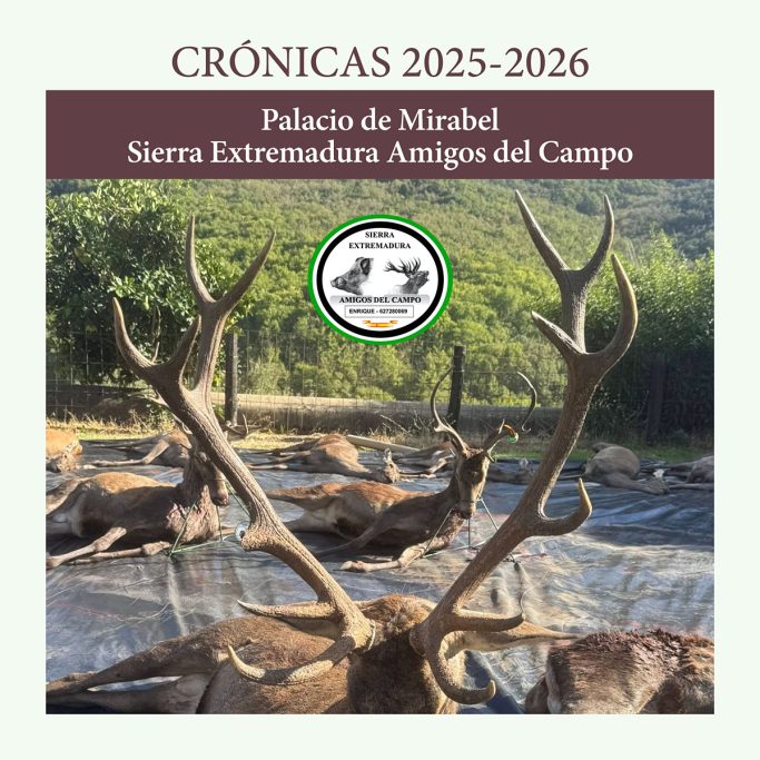 Palacio de Mirabel montería