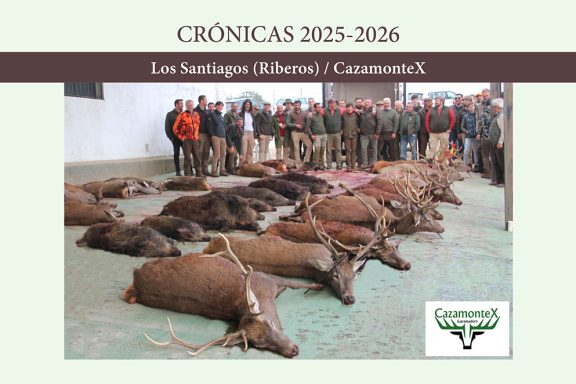 con CazamonteX montería
