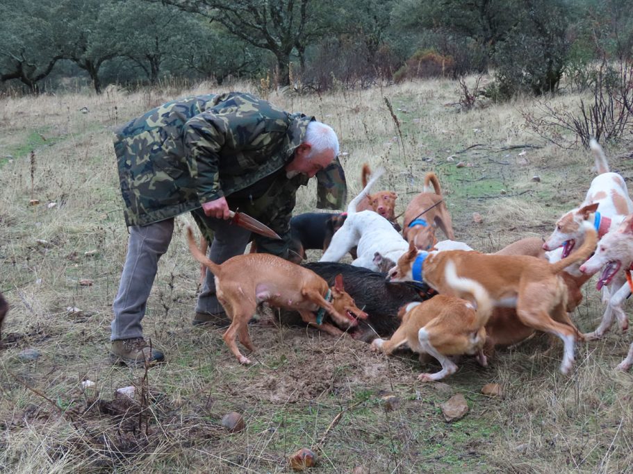 con Pelillo montería