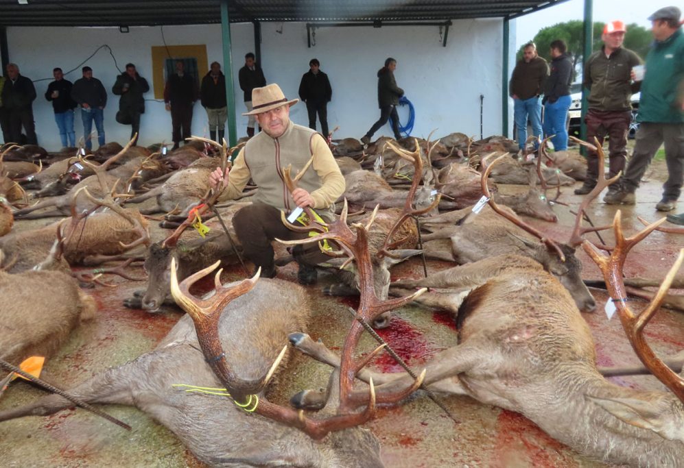 con Pelillo montería