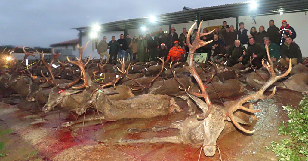 con Pelillo montería