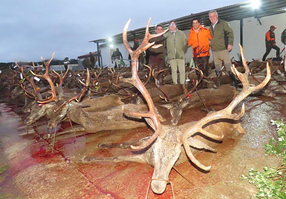 con Pelillo montería