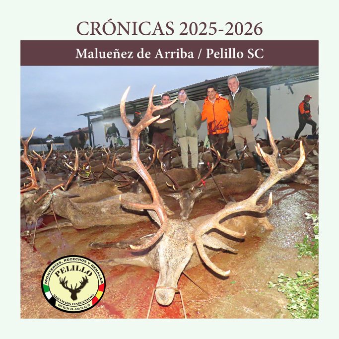 con Pelillo montería