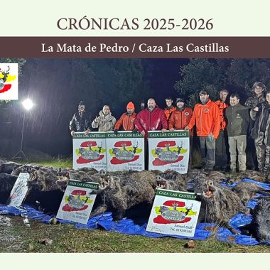 de Pedro con jabalíes