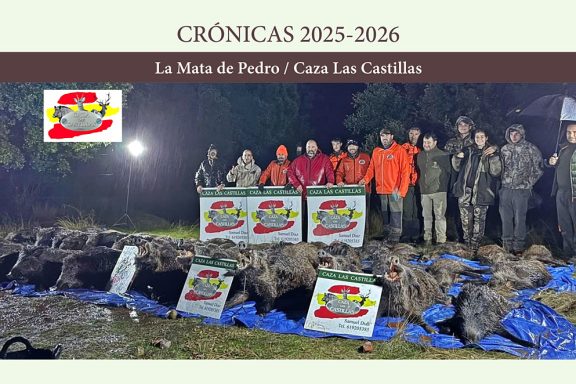 de Pedro con jabalíes